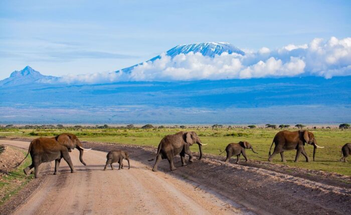4 Days Jumbo Kenya Safari