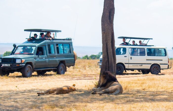 4 Days Famous Mara Kenya Safari