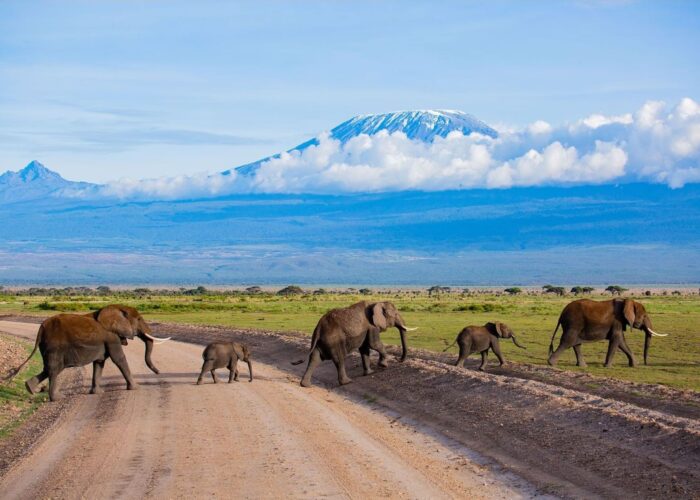 4 Days Jumbo Kenya Safari